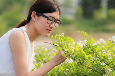 先锋影音av资源在线新片